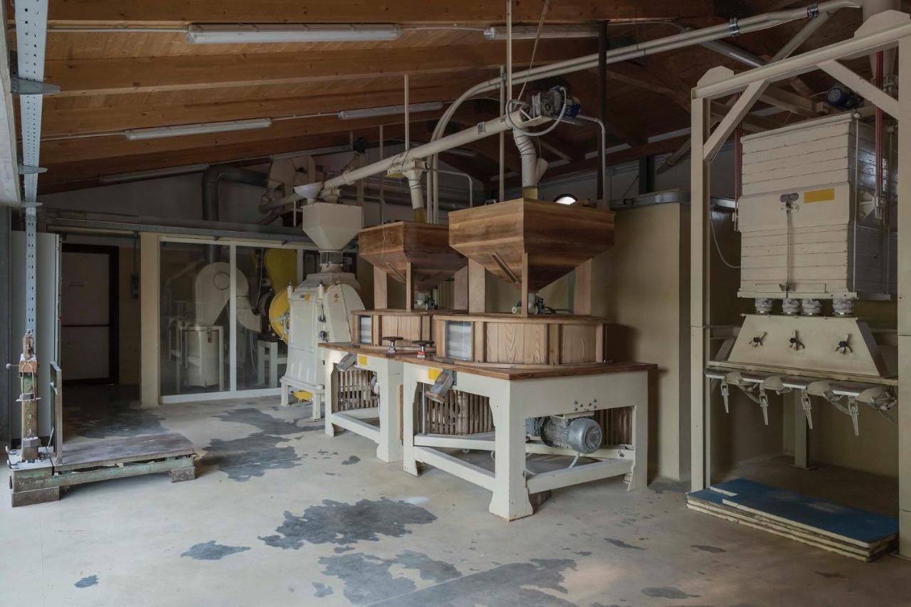 Mulino Bencivenga Villa Alvignano Bagian luar foto